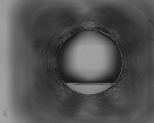 X0000093471445200710121001