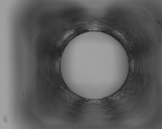 X0000093471446200710121001