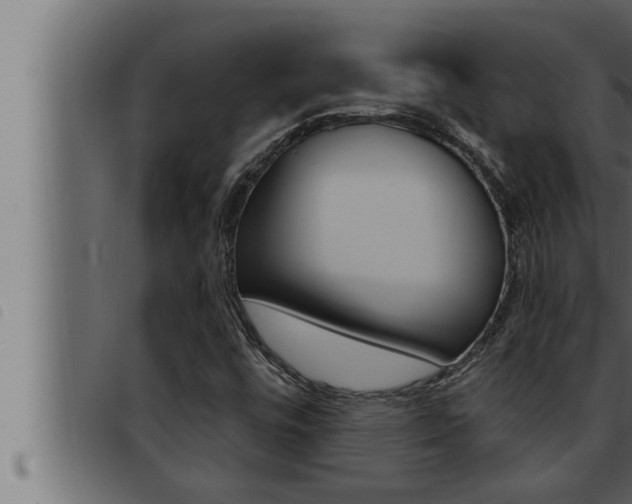 X0000093471448200710121001