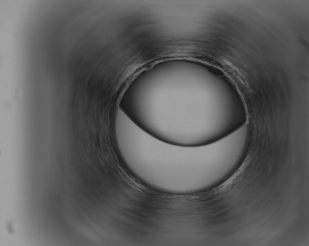 X0000093471449200710121001