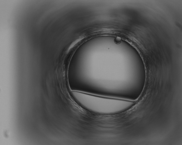 X0000093471450200710121001