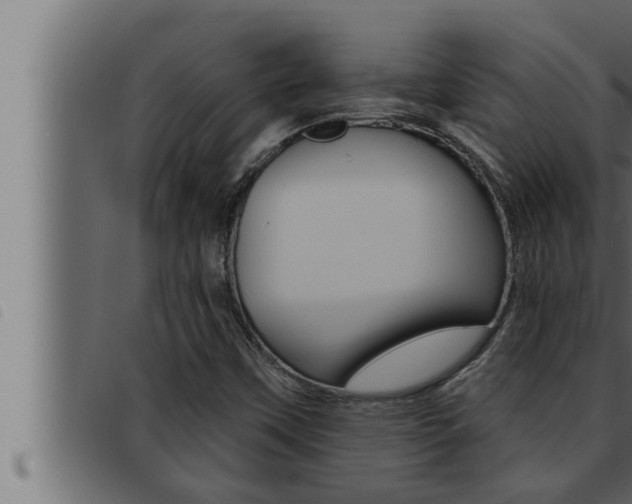 X0000093471451200710121001