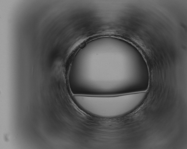 X0000093471452200710121001