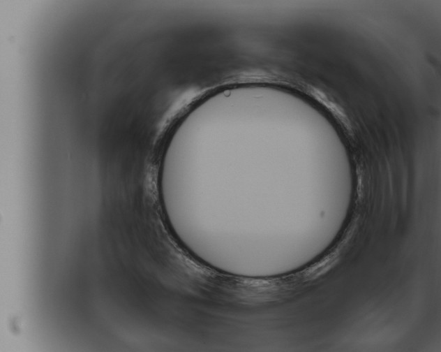 X0000093471454200710121001