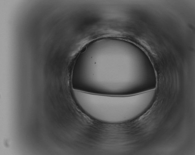 X0000093471455200710121001