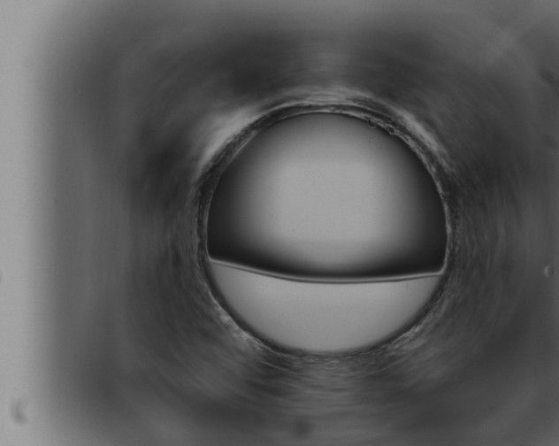 X0000093471456200710121001