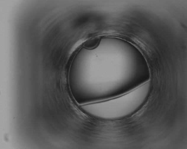 X0000093471458200710121001