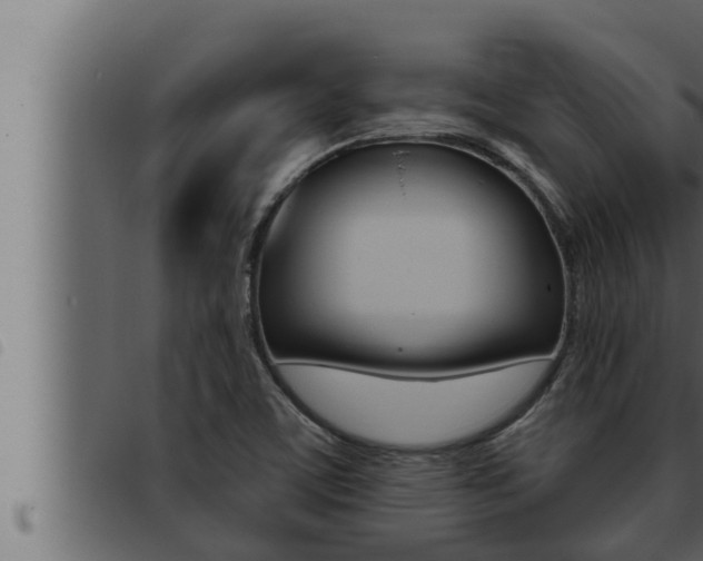 X0000093471459200710121001