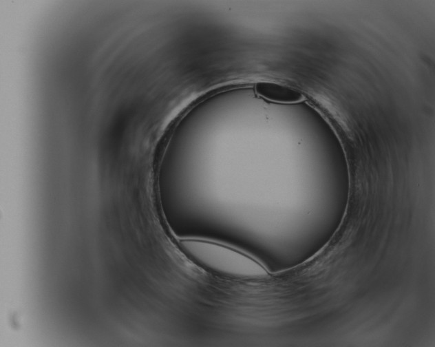 X0000093471460200710121000
