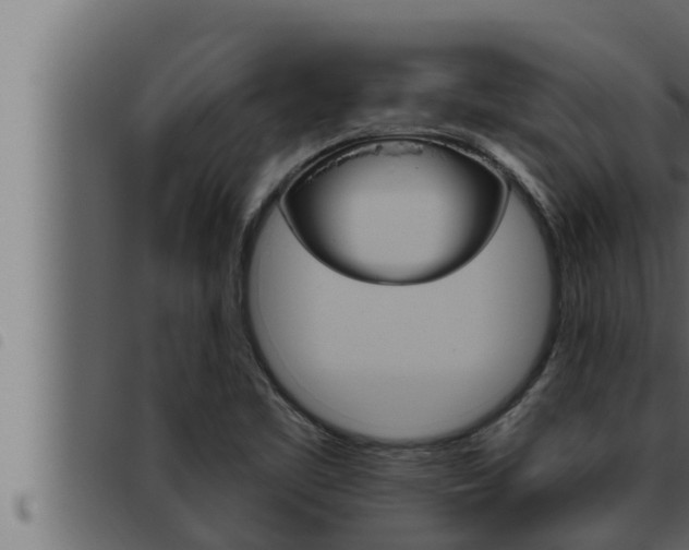 X0000093471461200710121000