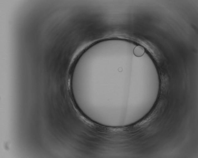 X0000093471462200710121000