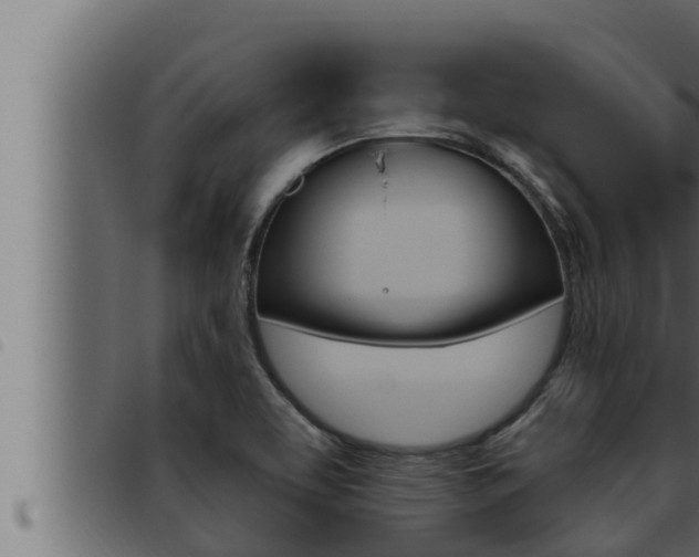 X0000093471463200710121000