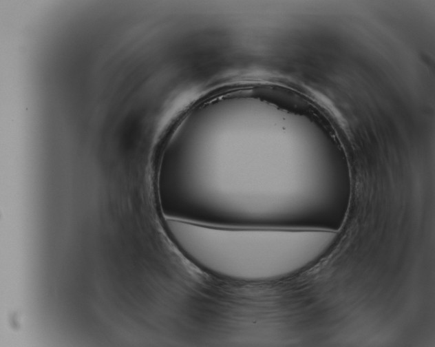 X0000093471464200710121000