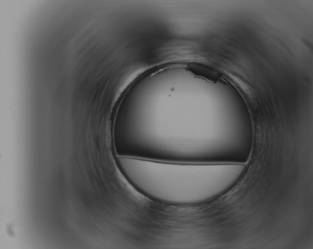 X0000093471468200710121000