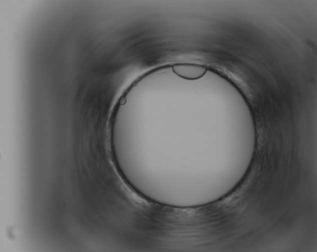 X0000093471470200710121000