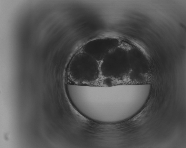 X0000093471471200710121000