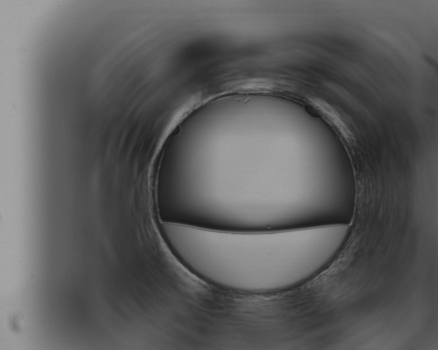 X0000093471475200710121000