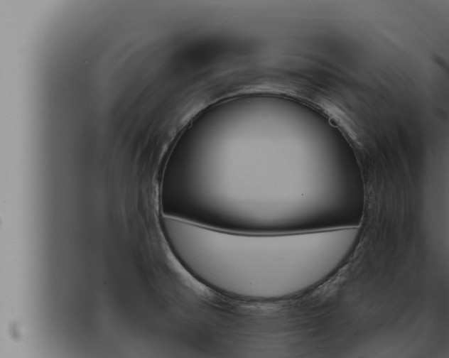 X0000093471476200710121000