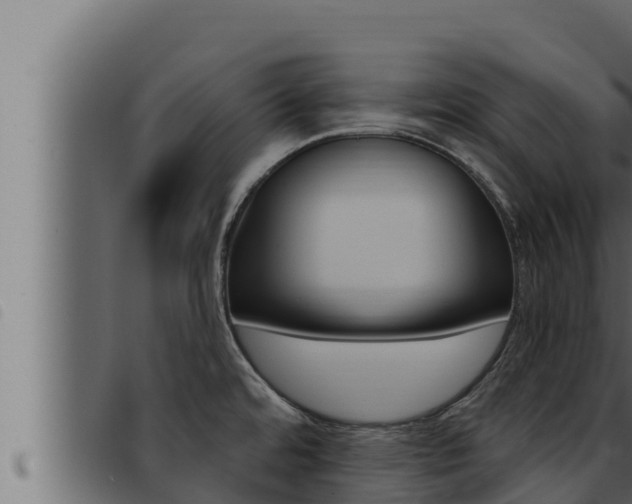 X0000093471480200710121000