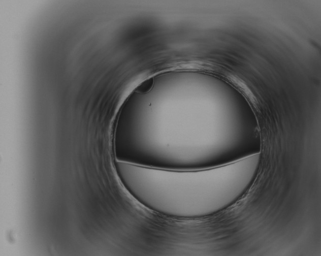 X0000093471483200710121000