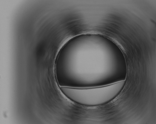 X0000093471484200710121000