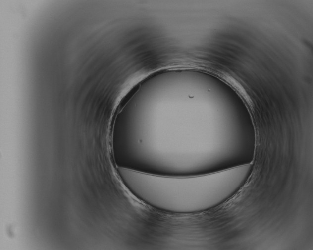 X0000093471485200710121000
