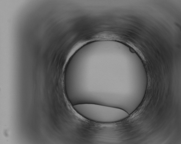 X0000093471486200710121000