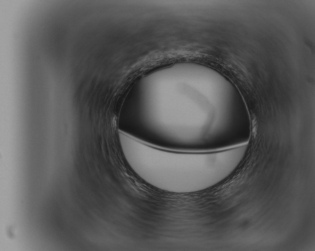 X0000093471492200710121000
