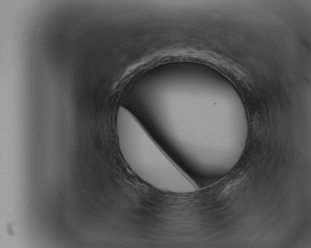 X0000093471494200710121000