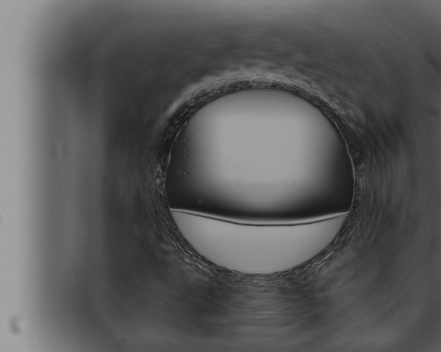 X0000093471495200710121000