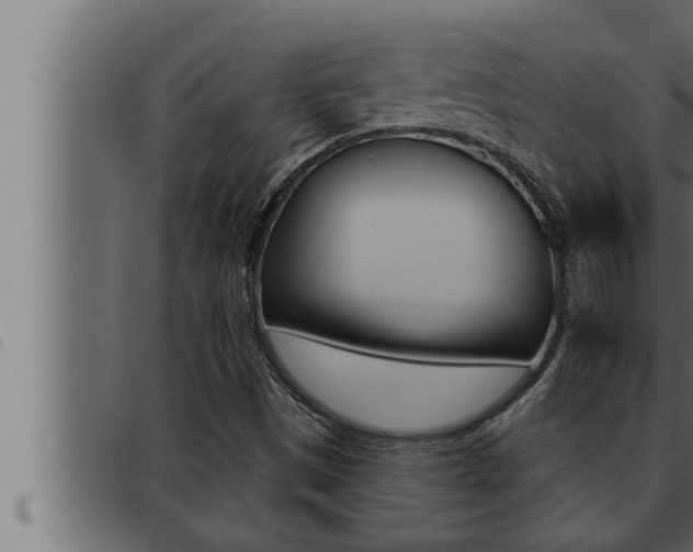 X0000093471497200710121000