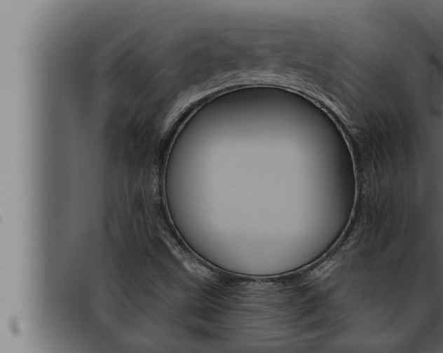 X0000093471499200710121000