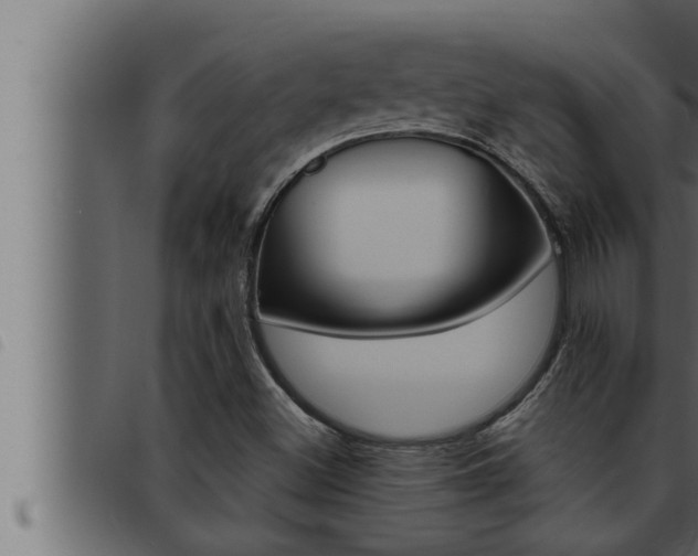 X0000093471500200710121000