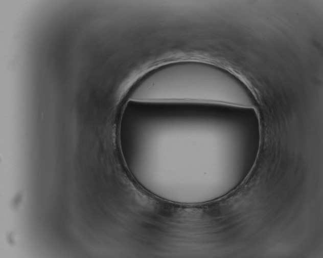 X0000093471503200710121000