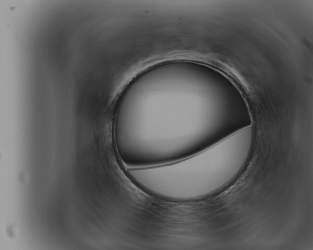 X0000093471504200710121000