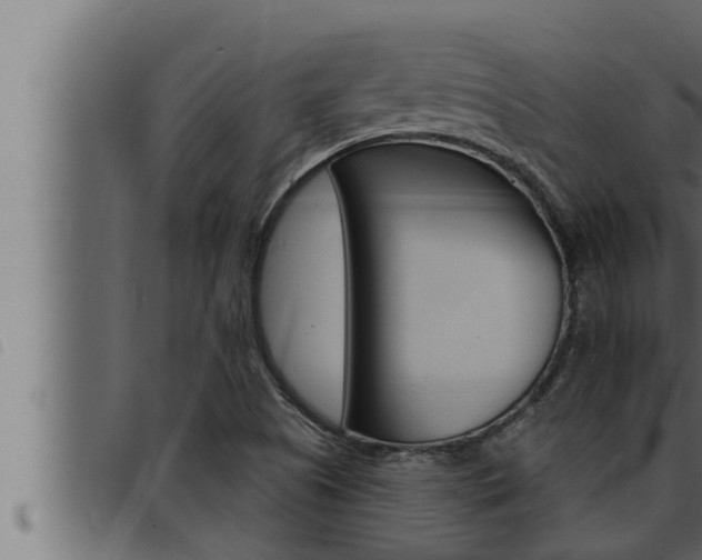 X0000093471505200710121000