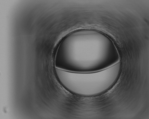 X0000093471506200710121000