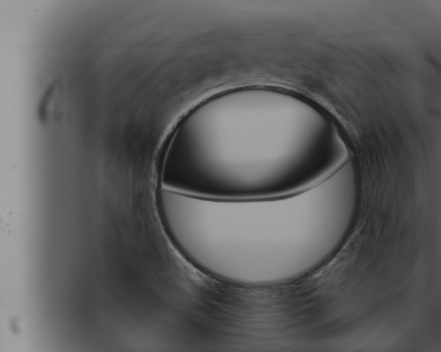 X0000093471508200710121000