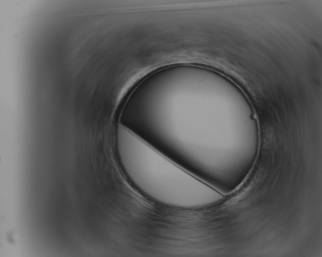 X0000093471509200710121000