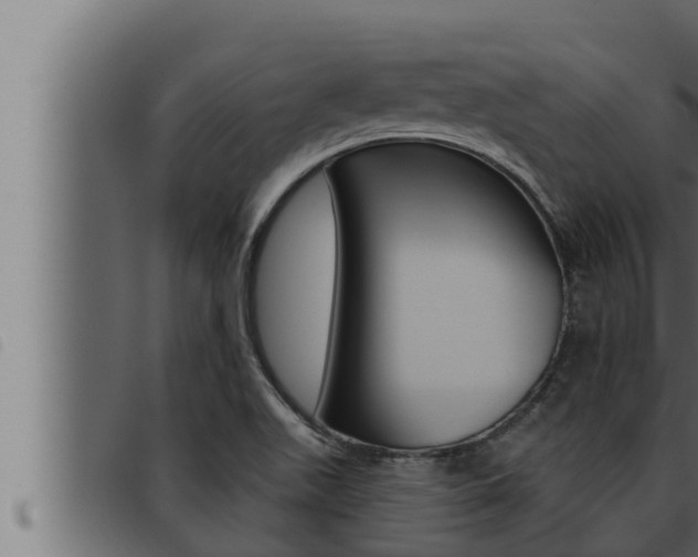 X0000093471511200710121000