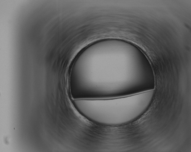 X0000093471515200710121000