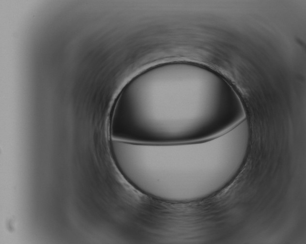 X0000093471516200710121000