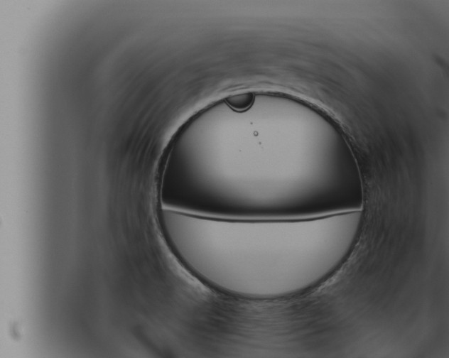 X0000093471518200710121000