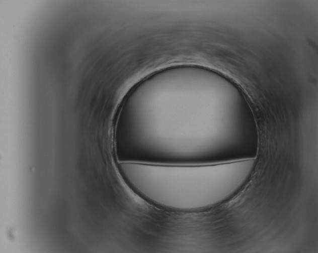 X0000093471519200710121000