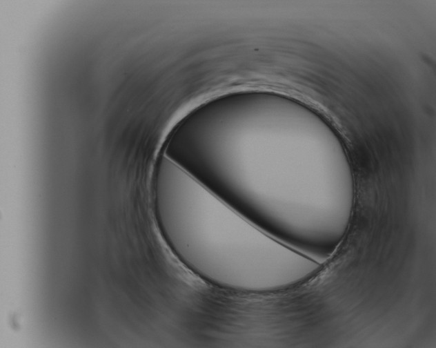 X0000093471522200710121000