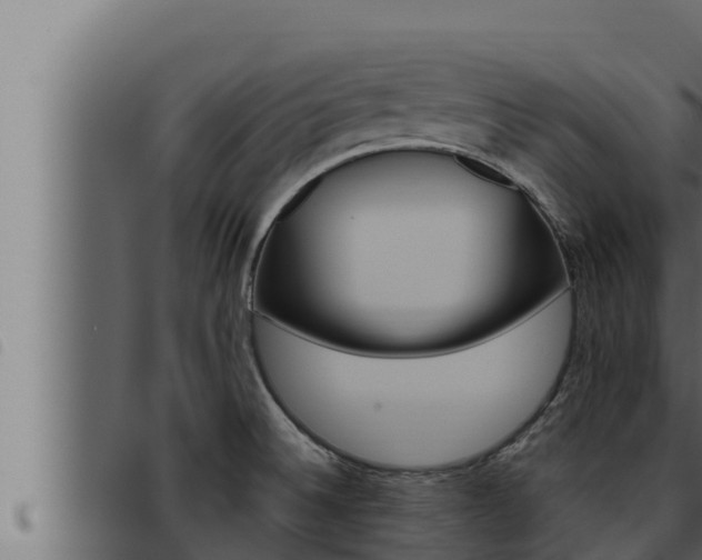 X0000093471524200710121000