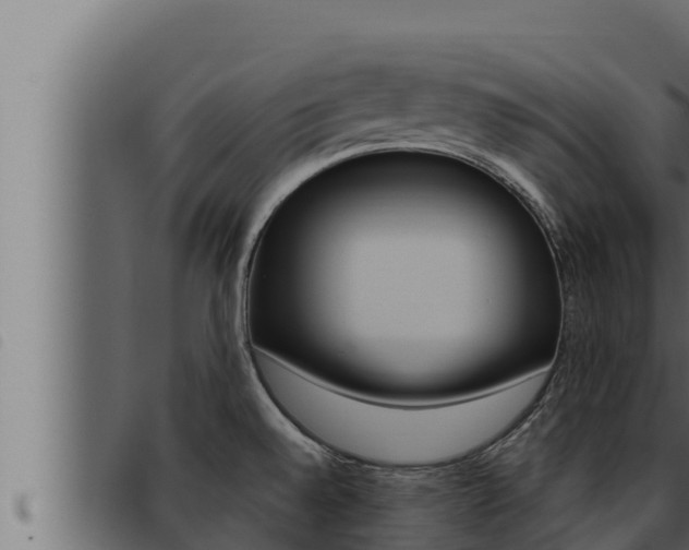 X0000093471528200710121000