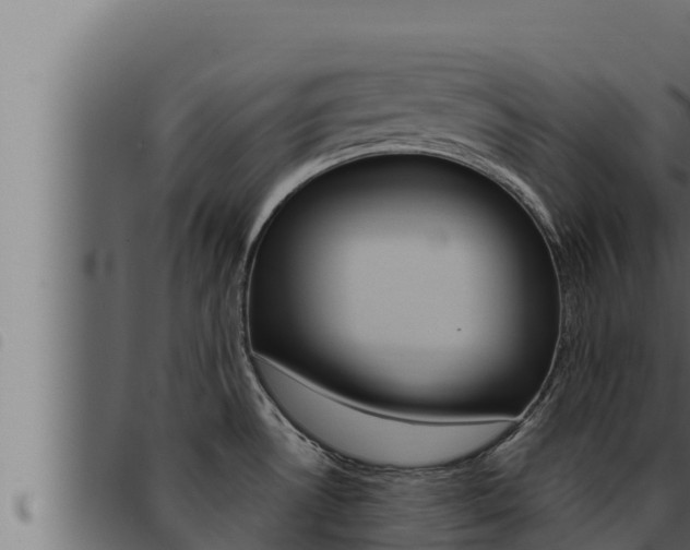 X0000093471530200710121000