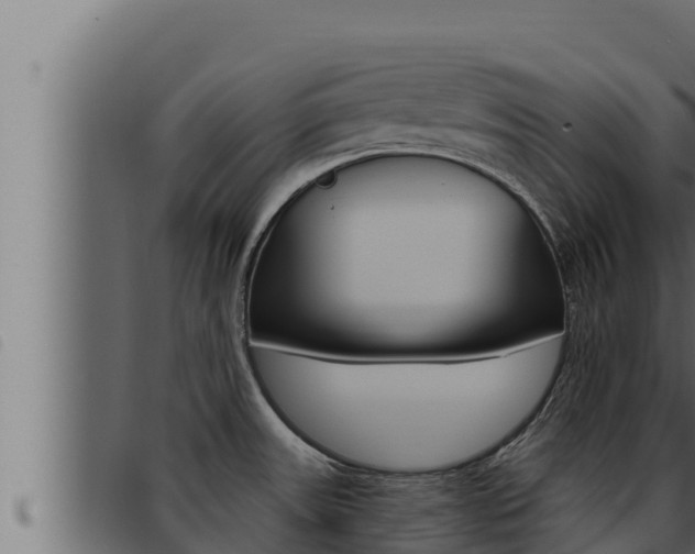 X0000093471531200710121000