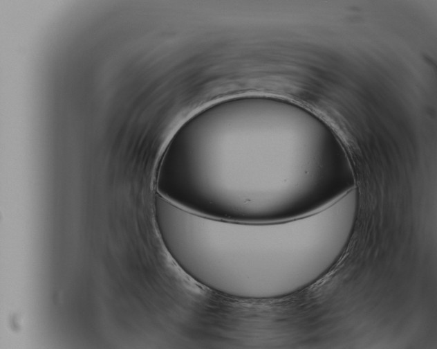 X0000093471532200710121000